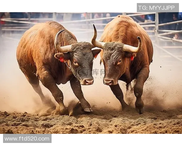 勇士与公牛激战正酣最终结果揭晓引发球迷热议