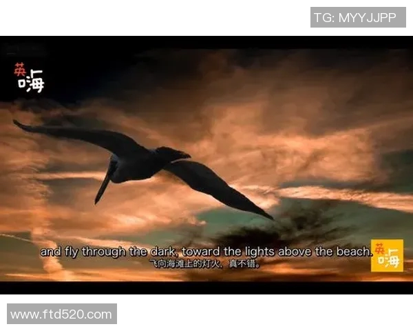 深度对话:陈丽在英雄联盟中的成长与挑战之路 深度对话:陈丽在英雄联盟中的成长与挑战之路